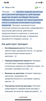 IMG_8667.png