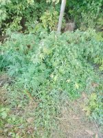 IMG_20250922_065114_516.jpg