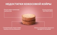 Nedostatki-kokosovoj-kojry__BZNxMXiXXaa5fiiB.jpg