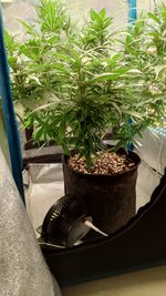IMG_20250929_070346_047.jpg