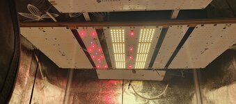 IMG_20250929_090500_831.jpg