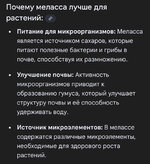 IMG_0689.jpeg