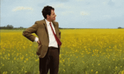 giphy12.gif