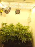IMG_20251001_225711.jpg