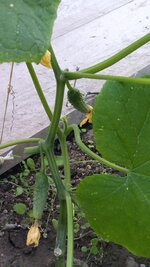 IMG_20251003_084255.jpg