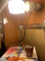 IMG_8809.jpeg