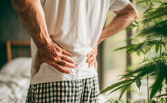 backpain.jpg