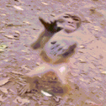 sticker (1).gif
