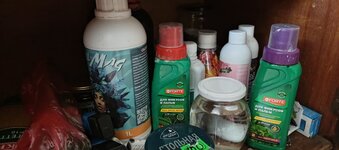 IMG_20251008_160029_273.jpg