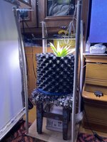 IMG_0814.jpeg