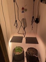 IMG_0497.jpeg