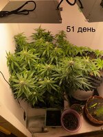 IMG_0836.jpeg
