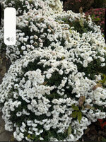 IMG_0878.jpeg