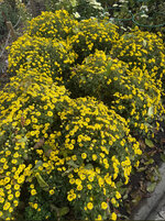 IMG_0881.jpeg