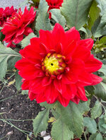 IMG_0889.jpeg