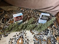 IMG_0754.jpeg