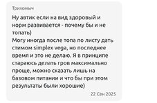 IMG_0943.jpeg