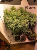 IMG_0948.jpeg