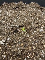 IMG_20251010_094004.jpg