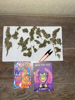 IMG_8462.jpeg