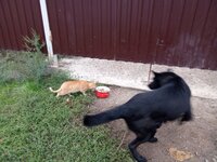 IMG_20251017_073031.jpg