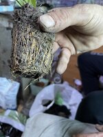 IMG_1022.jpeg