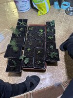 IMG_1023.jpeg