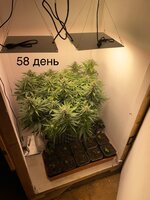 IMG_1030.jpeg
