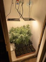 IMG_1029.jpeg