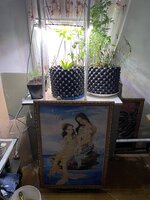 IMG_1035.jpeg