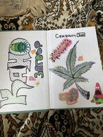 IMG_1063.jpeg IMG_1063.jpeg