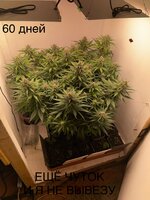 IMG_1085.jpeg