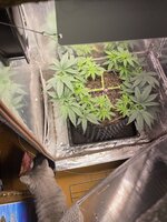 IMG_1122.jpeg