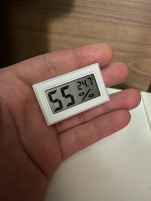 1103.jpg