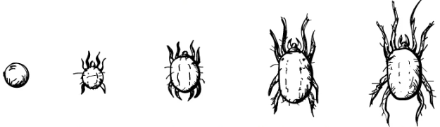 1652296915454.png
