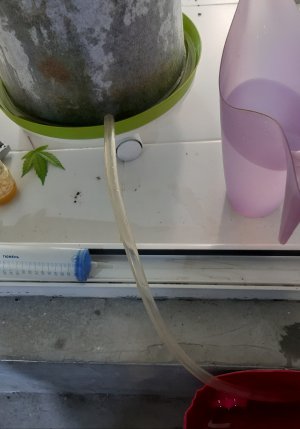20220516_112918.jpg