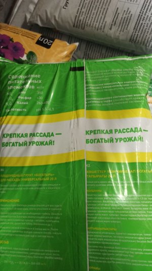 2.1.jpg 2.1.jpg