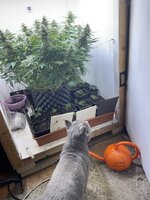 IMG_1126.jpeg