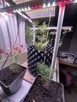 IMG_1041.jpeg