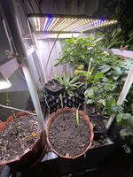 IMG_1348.jpeg