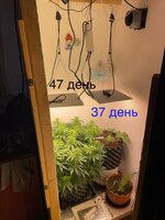 IMG_0784.jpeg