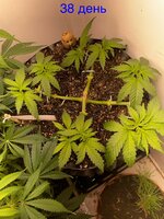 IMG_0805.jpeg