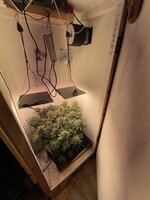 IMG_1369.jpeg
