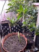 IMG_1380.jpeg