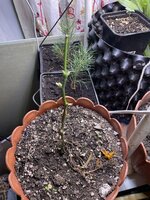 IMG_1377.jpeg