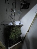 IMG_1388.jpeg