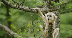 d4ecd4a2a3532e6acd9358847fbeb0a8.gif