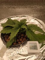 IMG_20251027_210630.jpg