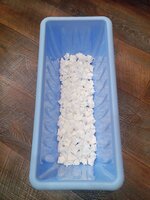 1000021770.jpg