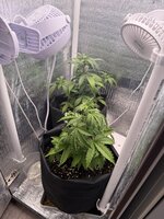 IMG_2204.jpeg